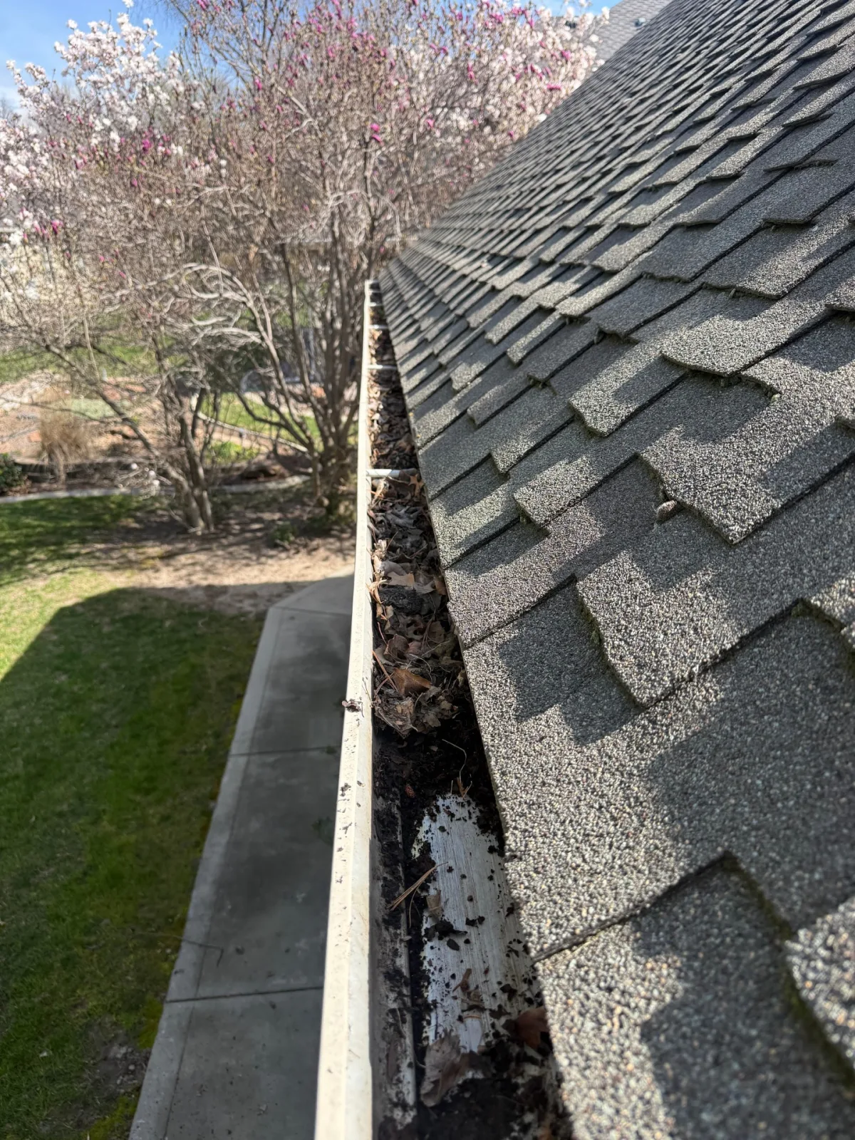 Leaf-Packed Gutters